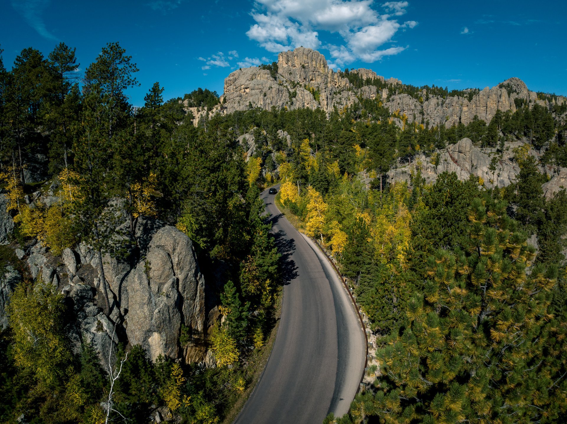A winding road curves through dense pine forest and rocky outcrops in Custer State Park under a bright blue sky. A car is visible driving along the scenic route, surrounded by autumn foliage and towering granite formations.