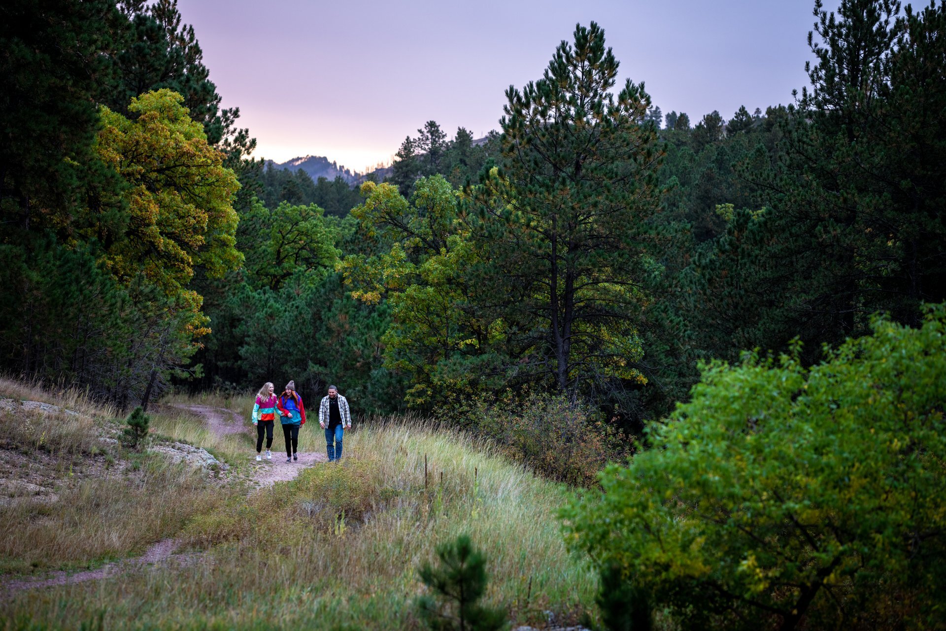 Three people walk along a forest trail at sunset, surrounded by lush green trees and rolling hills in Custer State Park. The sky glows softly in the background.