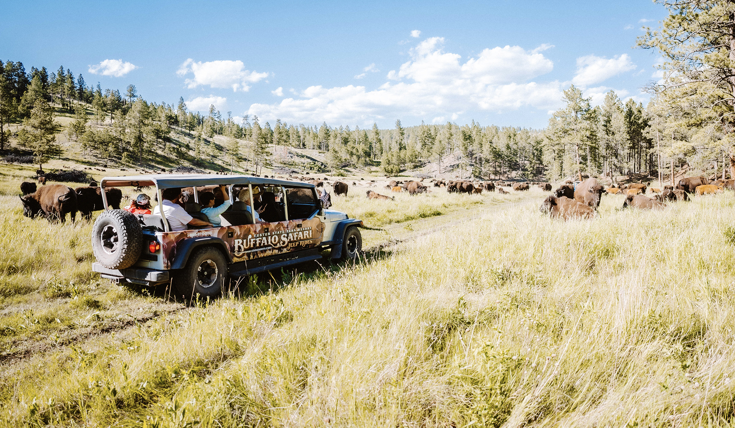 Blue buffalo jeep contest best sale