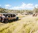 Group in a Jeep driving by buffalo