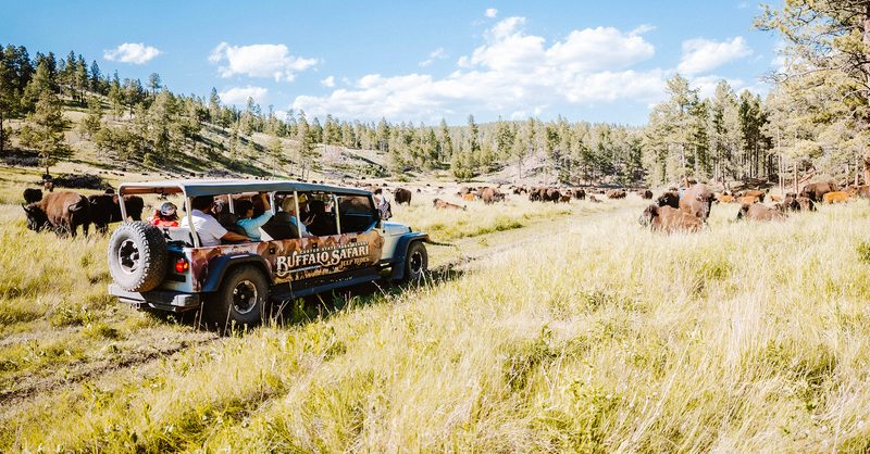 Jeep Safari Adventure: Unleash the Ultimate Off-Road Experience Jeep Safari Adventure: Unleash the Ultimate Off-Road Experience