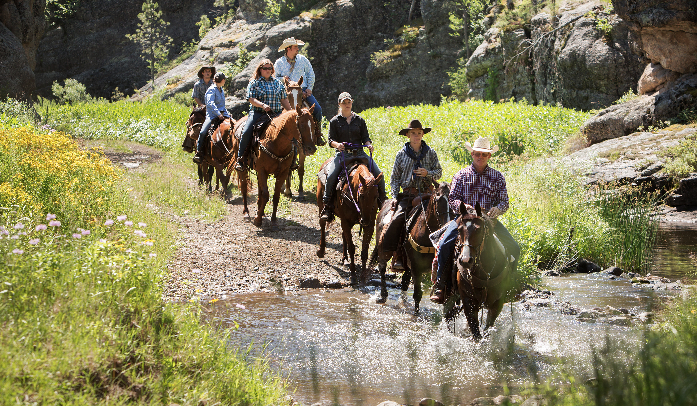 Visitors riding horses during a guided trail ride