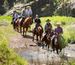 Visitors riding horses during a guided trail ride