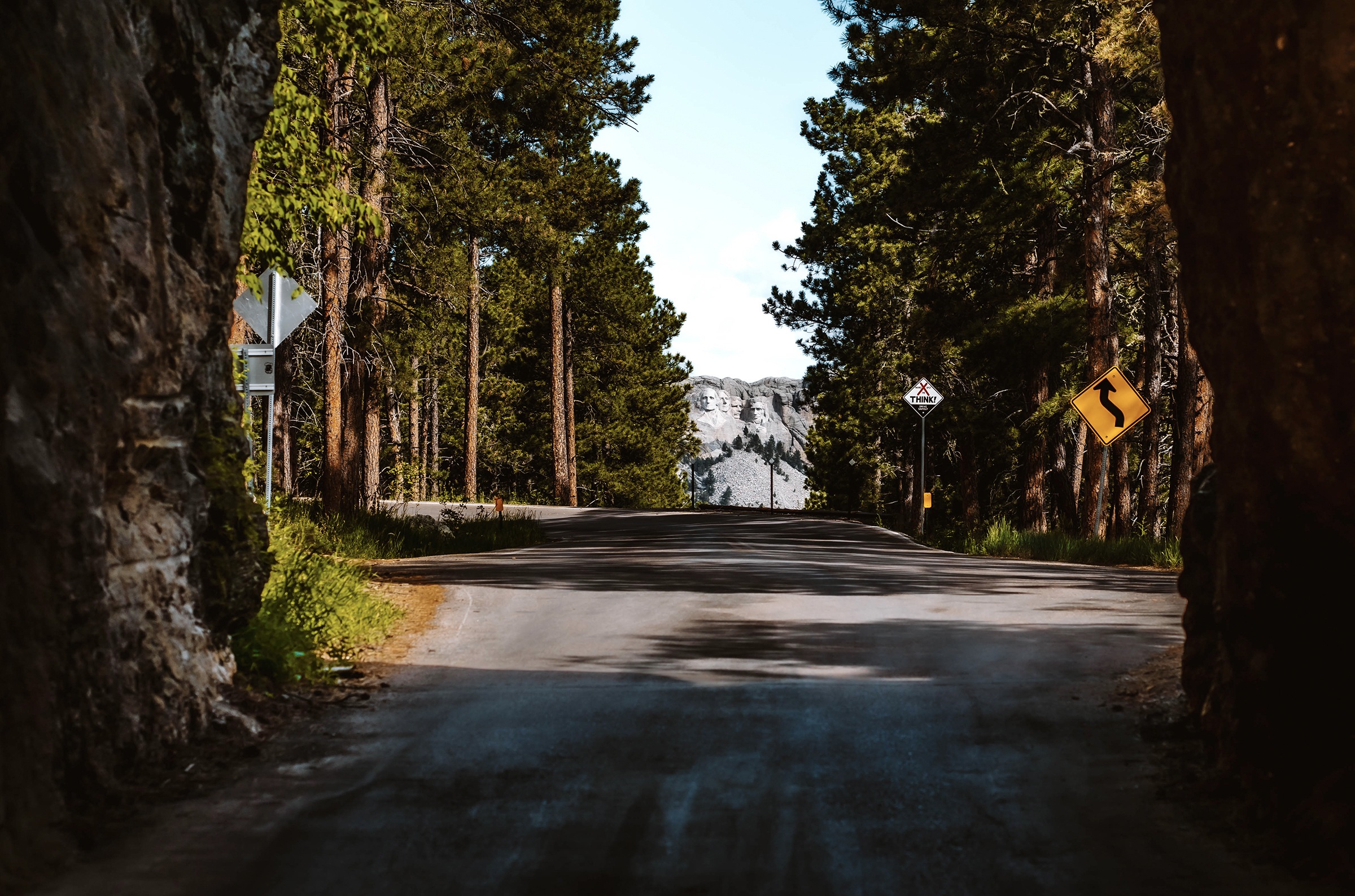Road with trees surrounding and Mount Rushmore in the distance