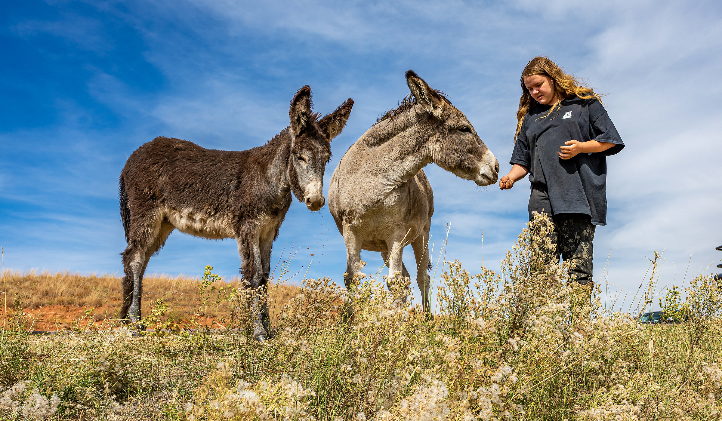 Woman sticking out her hand to feed wildlife