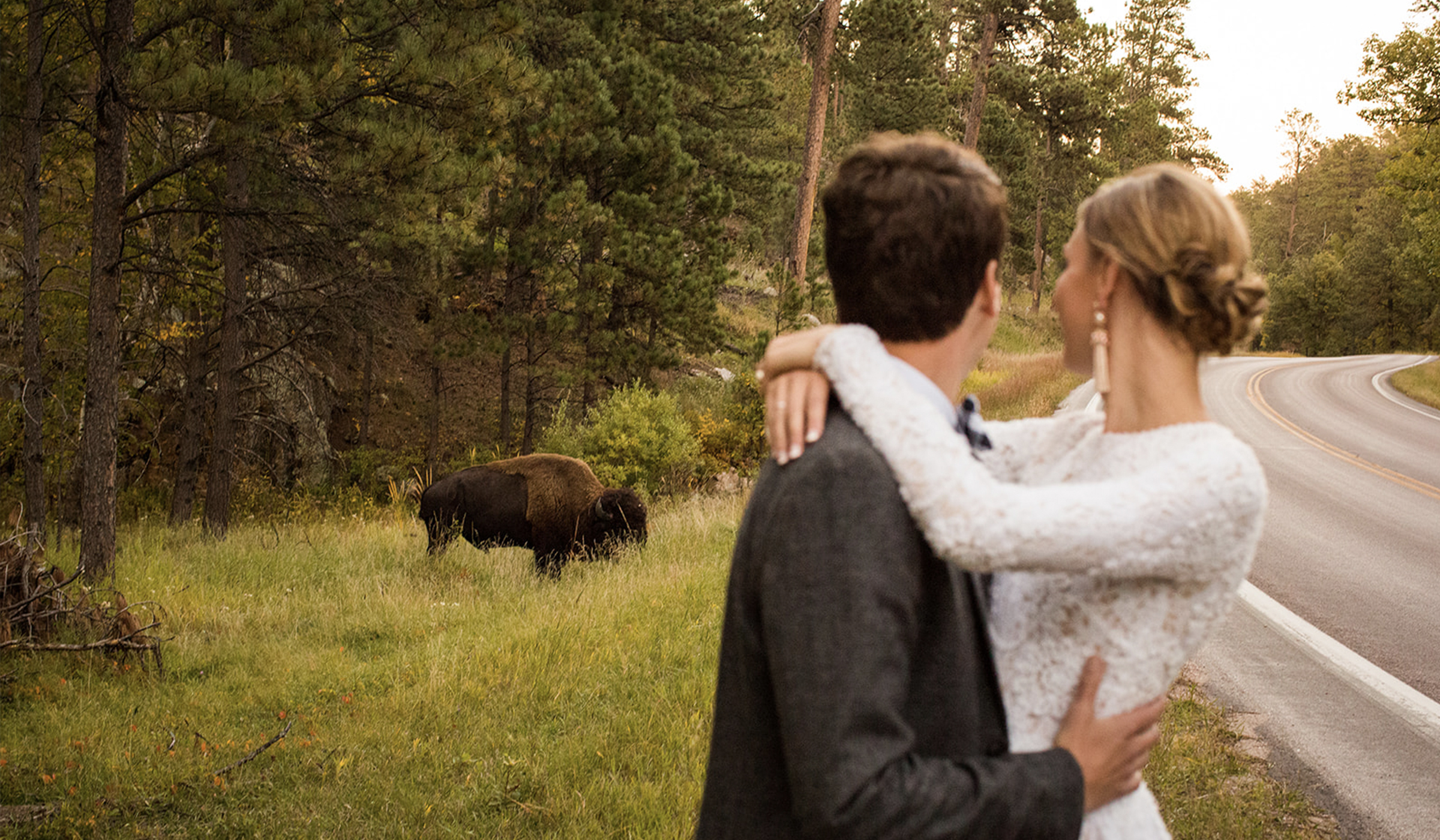 Couple looking over at a Bison during wedding picture
