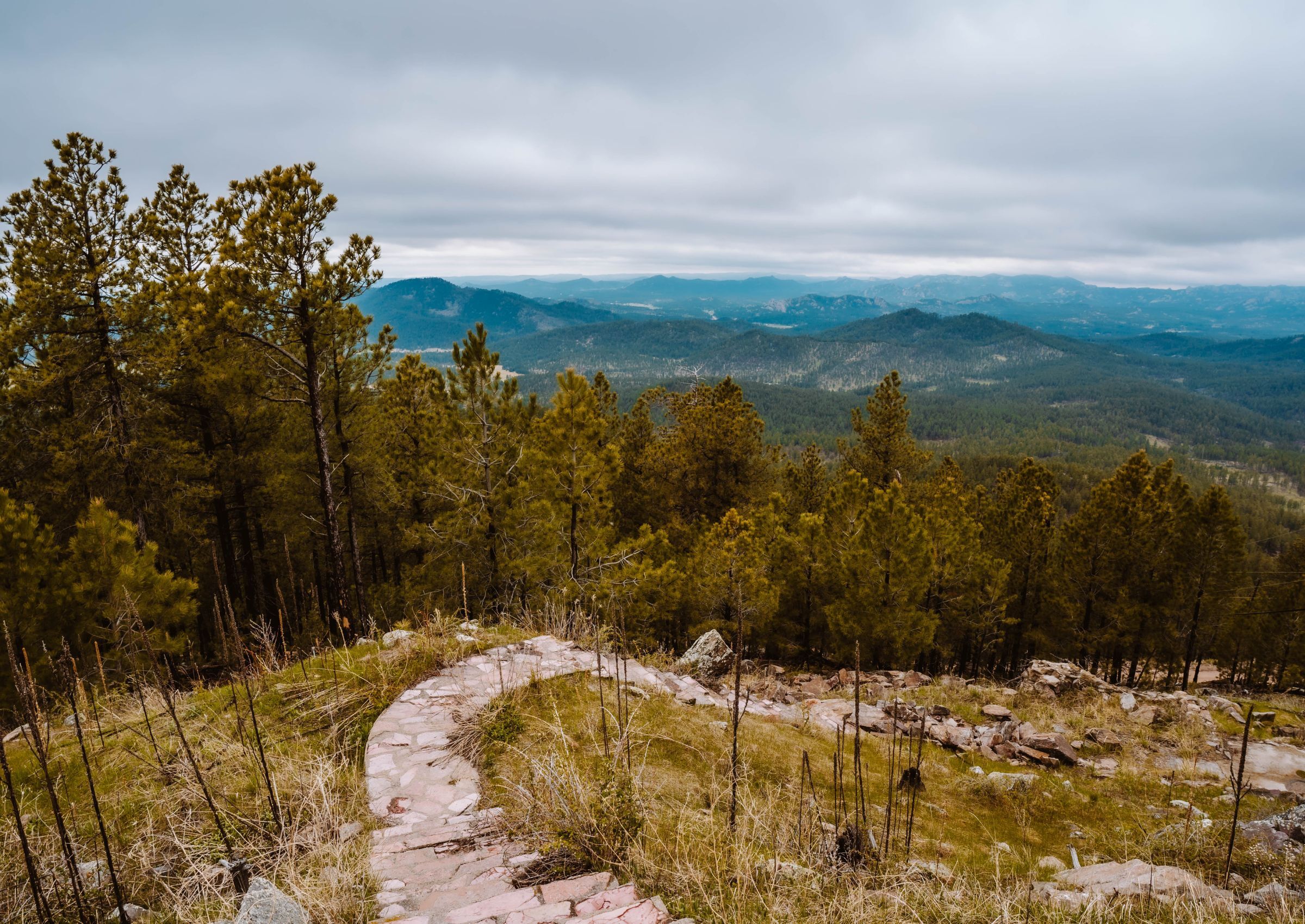 Hiking trail in the black hills