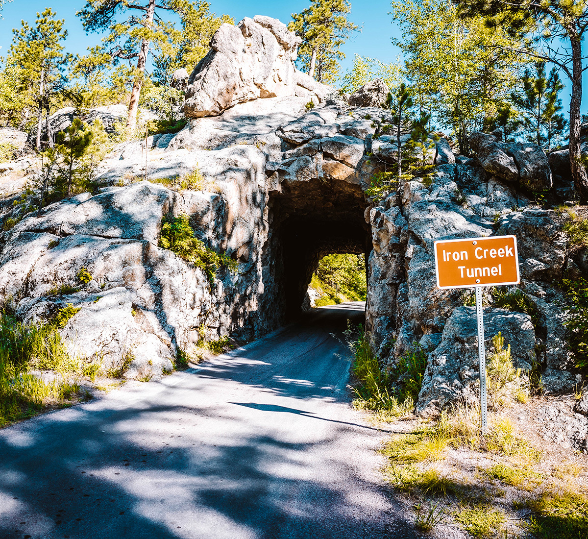 Road leading into Iron Creek Tunnel