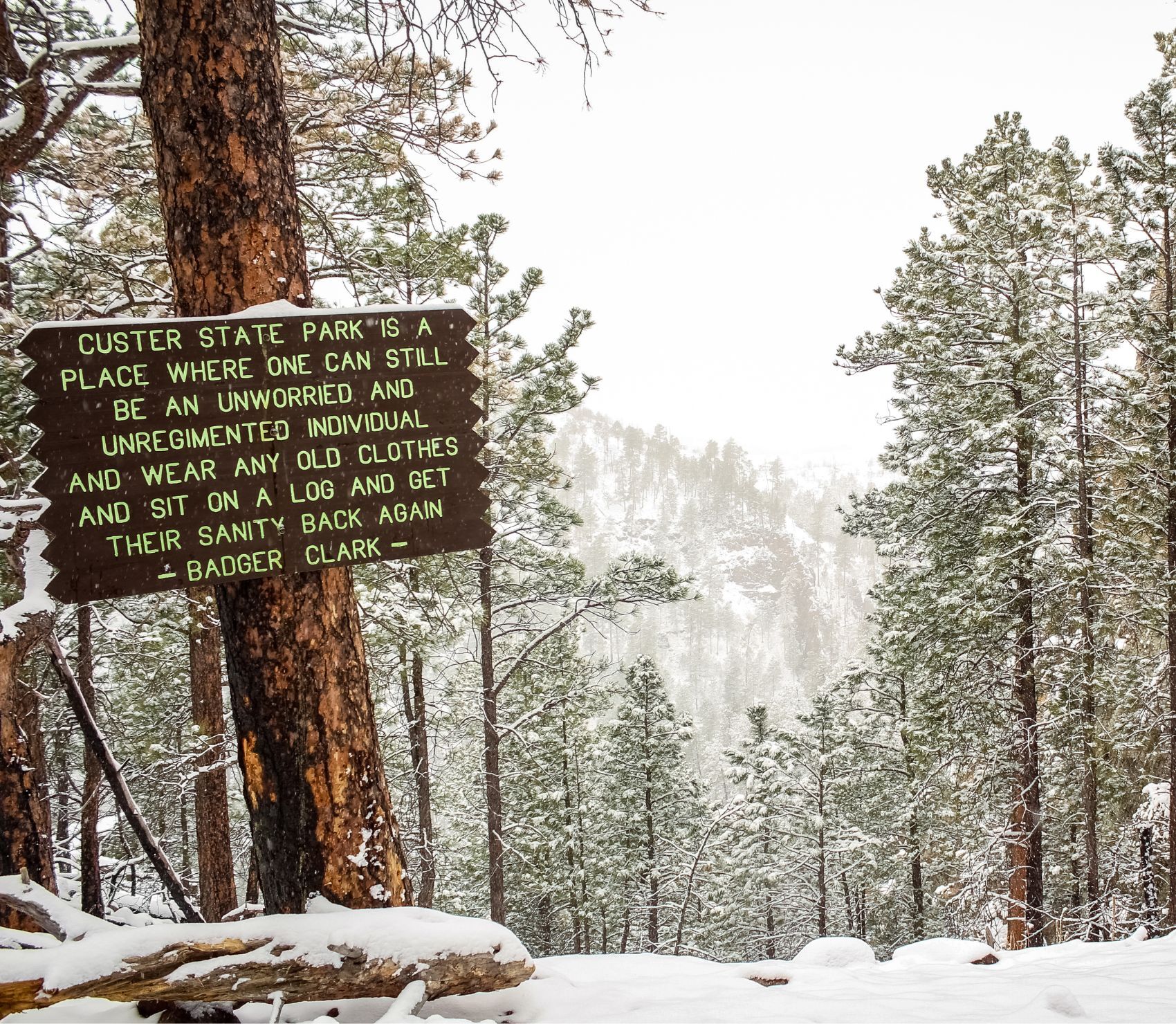 Snow-covered forest in Custer State Park with a wooden sign quoting Badger Clark: “Custer State Park is a place where one can still be an unworried and unregimented individual and wear any old clothes and sit on a log and get their sanity back again.” Pine trees and a misty mountain ridge are visible in the background.