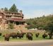 Buffalo grazing on grass outside Custer Game Lodge Hotel