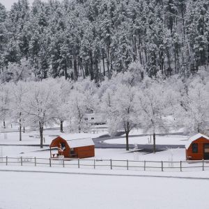 Camping cabins in the winter snow